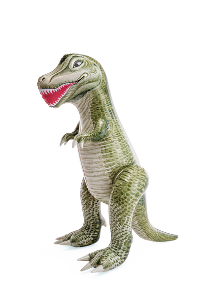 Intex Inflatable Dinosaurs